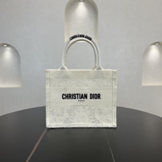 Christian Dior Shopping Bags